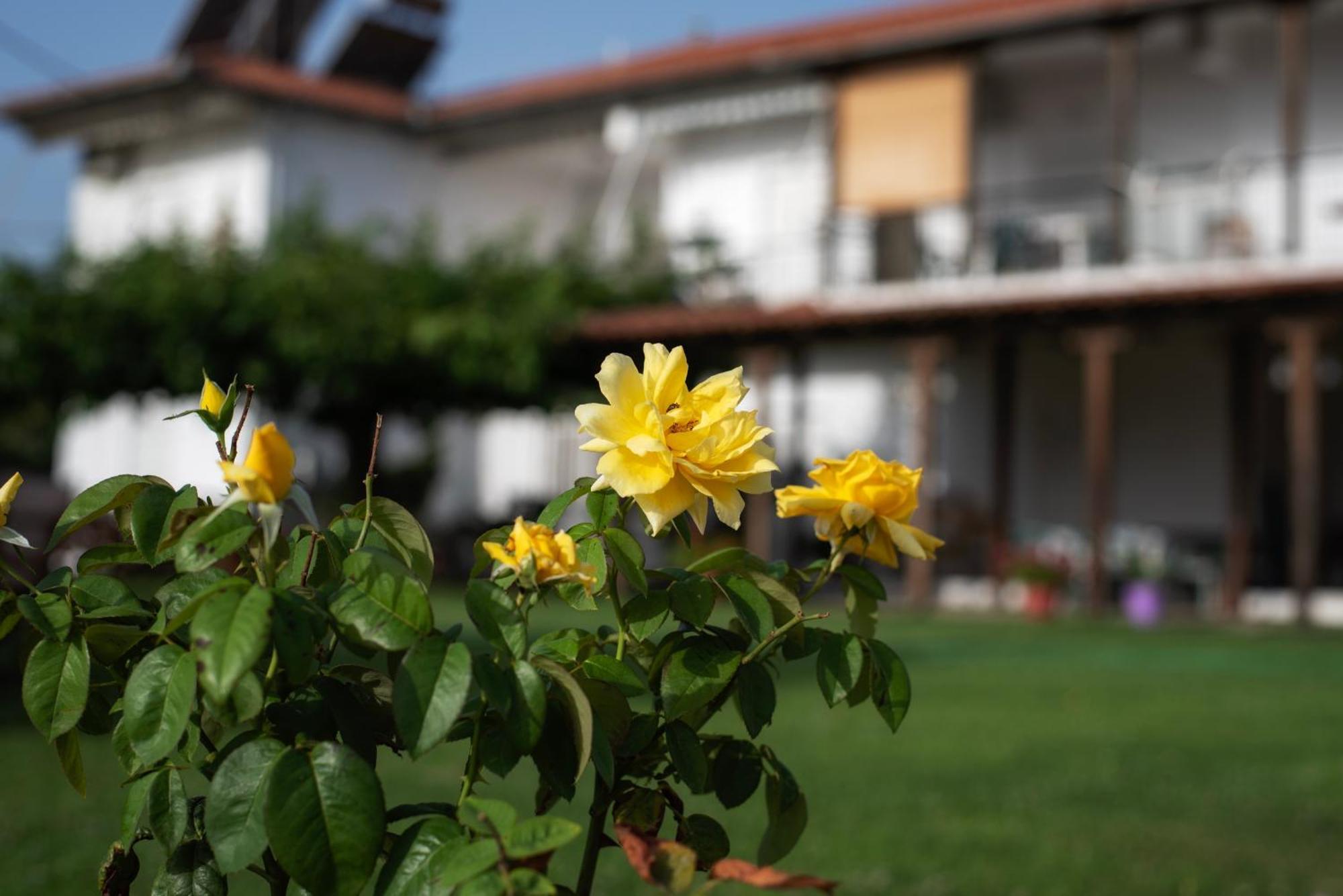Marilena Apartments Anastasiou ヴェリカ エクステリア 写真