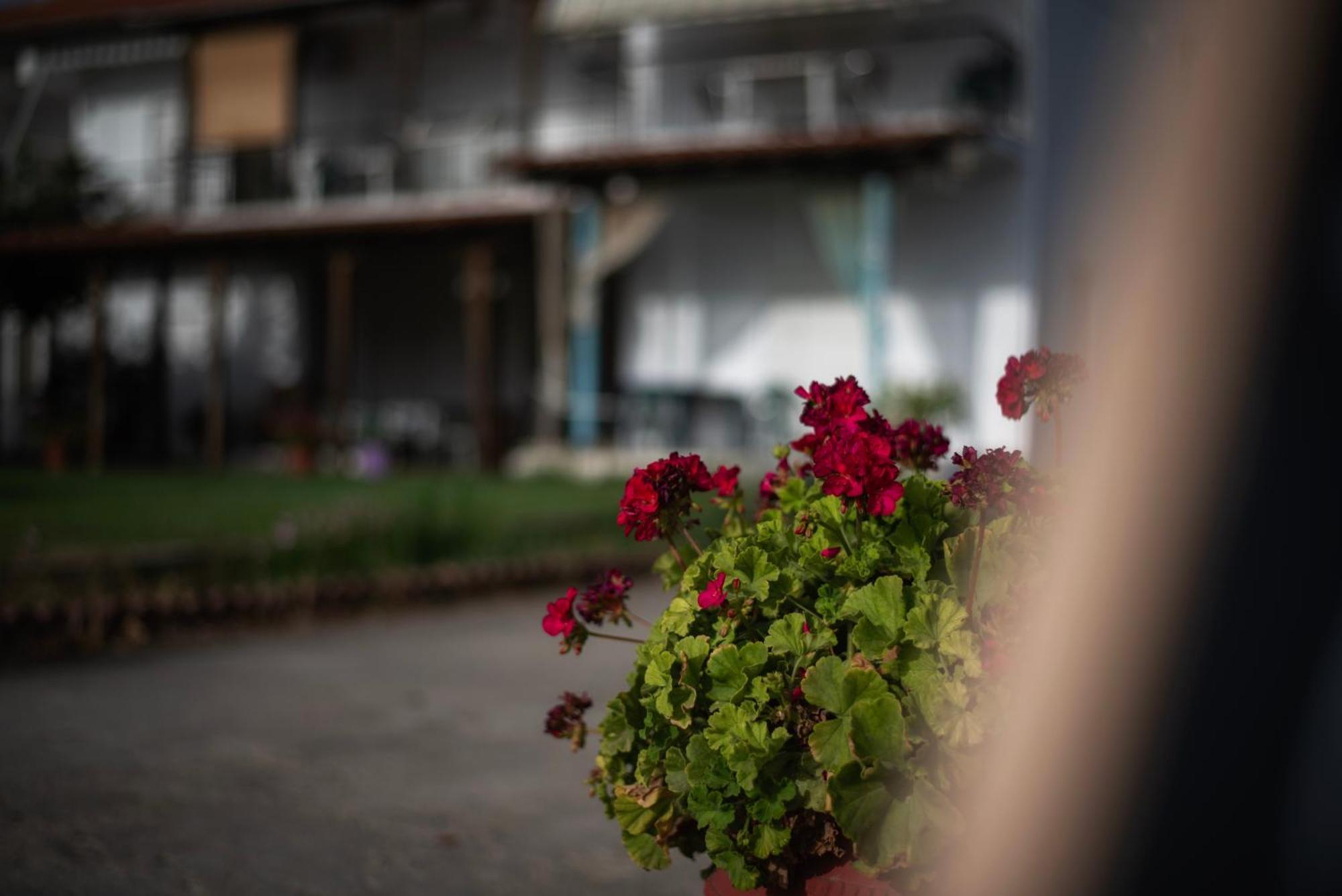 Marilena Apartments Anastasiou ヴェリカ エクステリア 写真